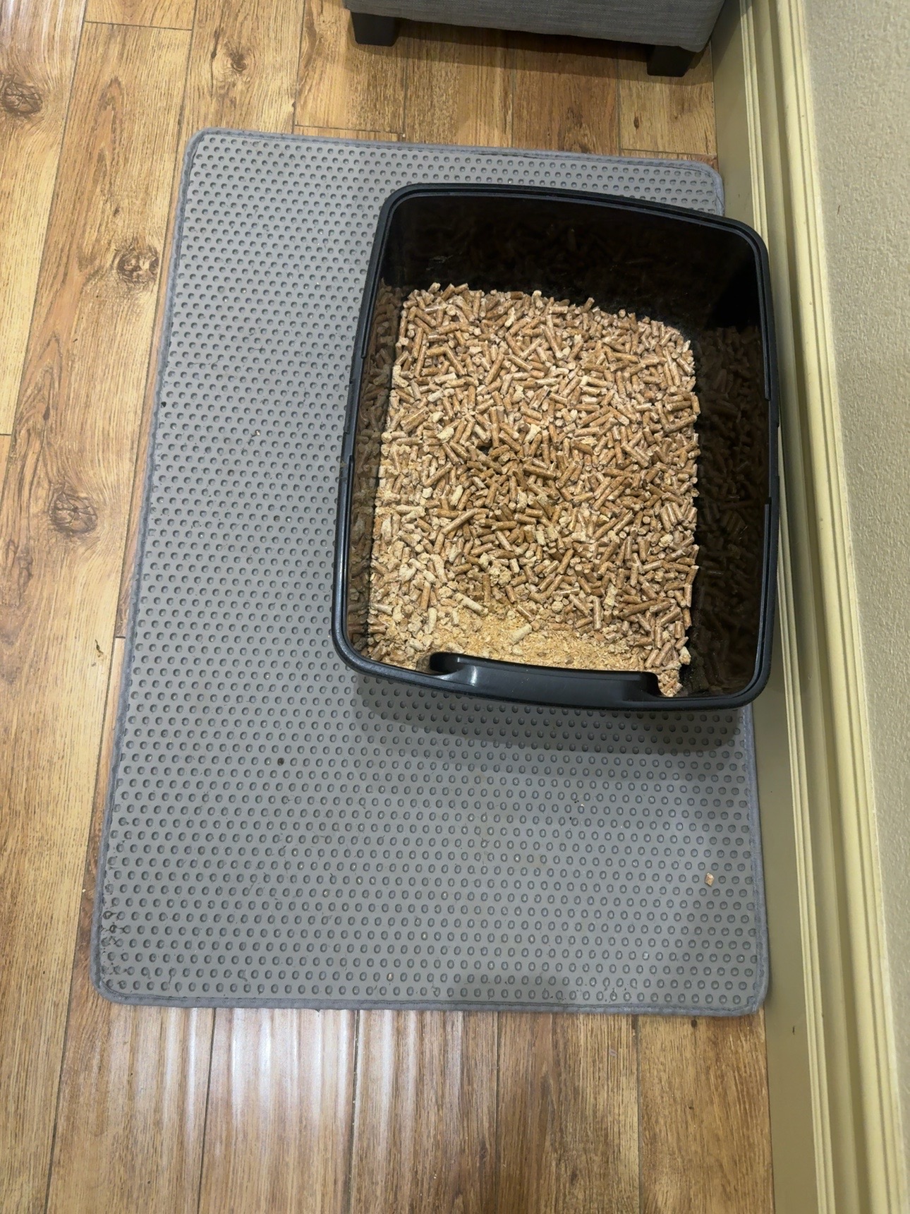 Our open litter box filled with natural pine pellets